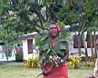 village chief with kava root