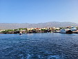 20221020_081733.jpg