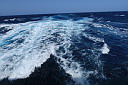 img_4745.jpg