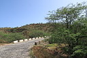 img_4784.jpg