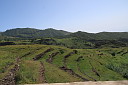 img_4846.jpg
