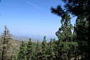 img_4941.jpg