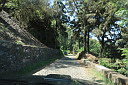 img_5005.jpg