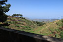 img_5008.jpg