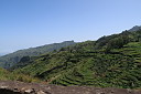 img_5036.jpg