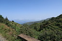 img_5060.jpg