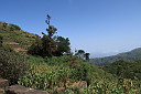 img_5061.jpg