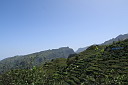 img_5062.jpg