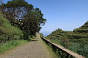 img_5078.jpg