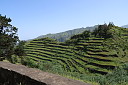 img_5080.jpg