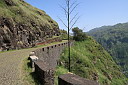 img_5136.jpg