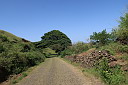 img_5140.jpg