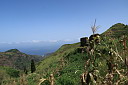 img_5147.jpg