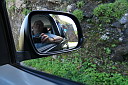 img_5158.jpg