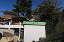 img_5525.jpg