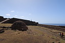 img_5817.jpg