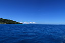 img_4101.jpg
