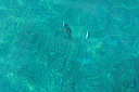 img_4530.jpg