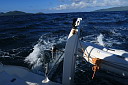 img_4896.jpg