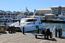 img_02664.jpg
