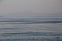 img_03158.jpg