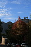 img_03767.jpg