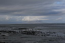 img_03947.jpg