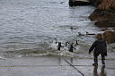 img_03969.jpg
