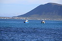 img_04018.jpg