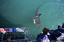 img_04134.jpg
