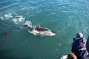 img_04142.jpg