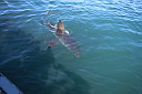 img_04164.jpg