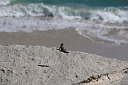 img_04414.jpg