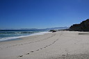 img_04425.jpg
