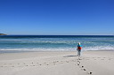img_04426.jpg