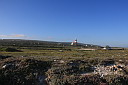 img_04540.jpg