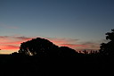 img_04579.jpg