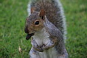 img_04688.jpg