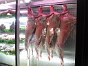 simg_07338.jpg