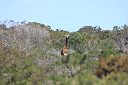 timg_09346.jpg