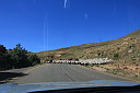 img_05765.jpg