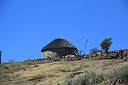 img_05914.jpg