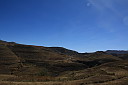 img_05917.jpg
