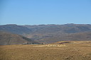 img_05937.jpg