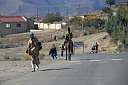 img_06026.jpg
