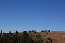img_06069.jpg