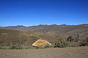 img_06169.jpg