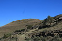 img_06181.jpg