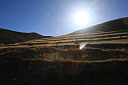 img_06222.jpg