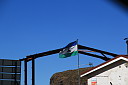 img_06431.jpg